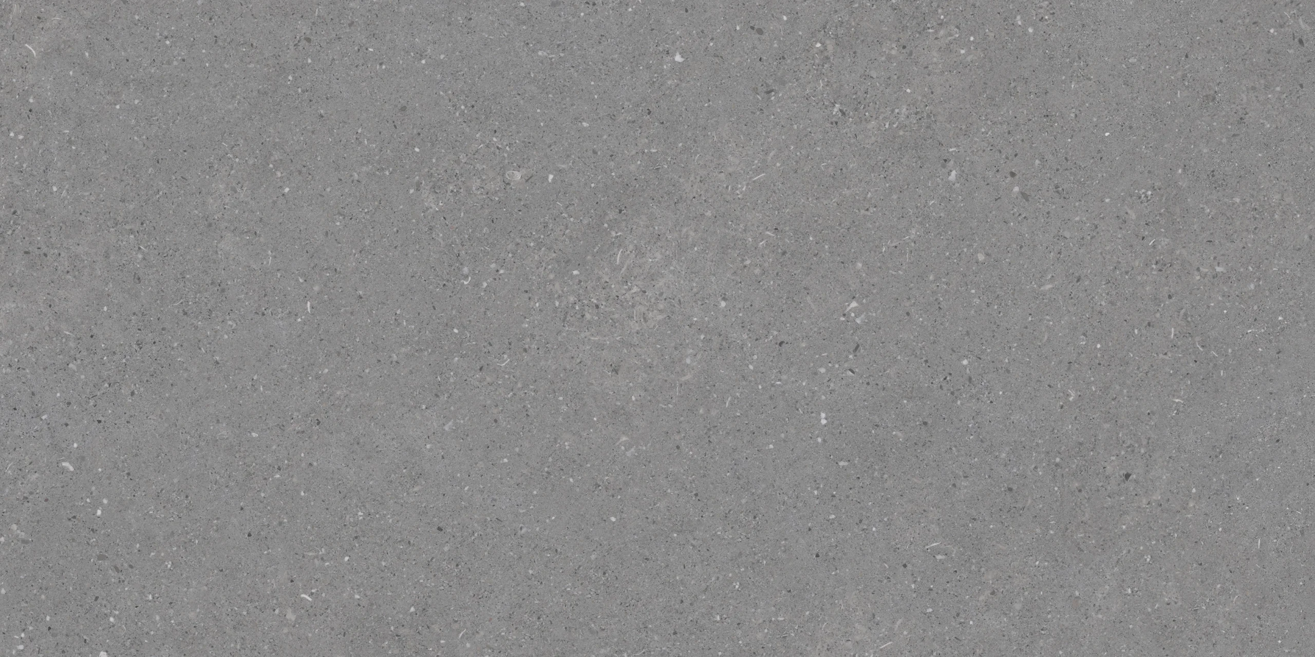 LITHOS_GRIS_60X120_01-scaled - Τσιντώνης Πλακάκια